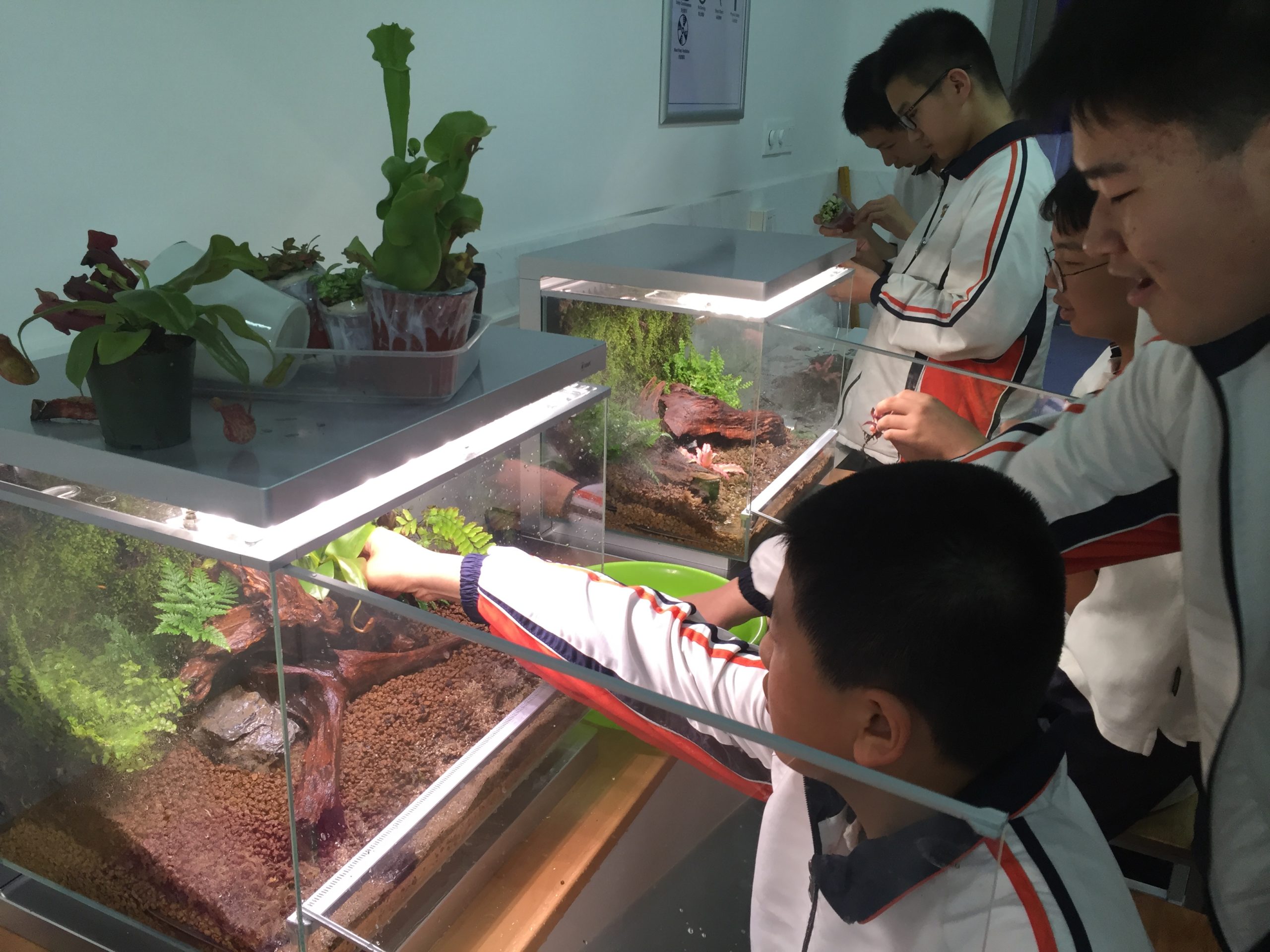南京科利华中学2
