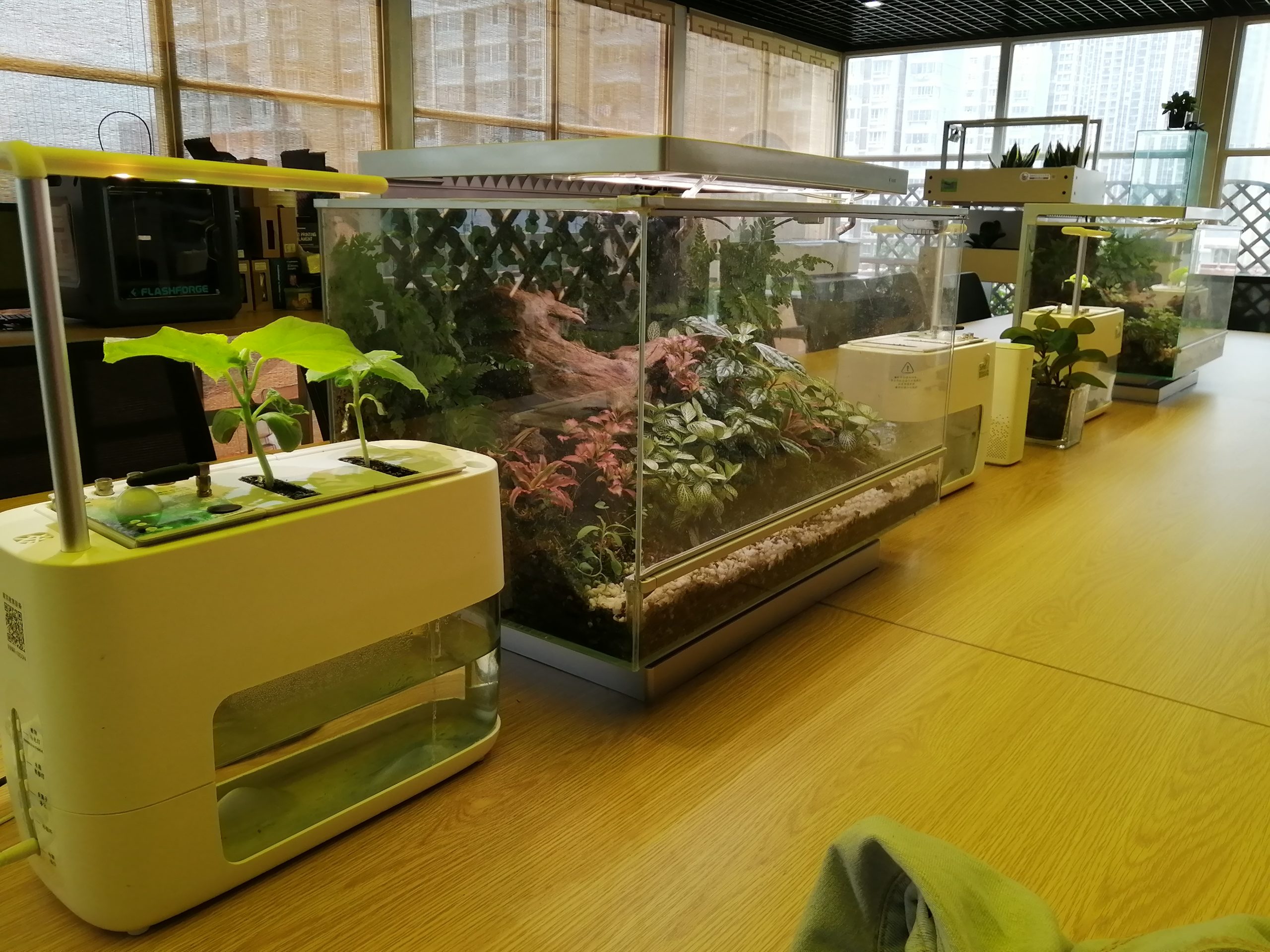 南京青秀城小学2 南京青秀城小学2