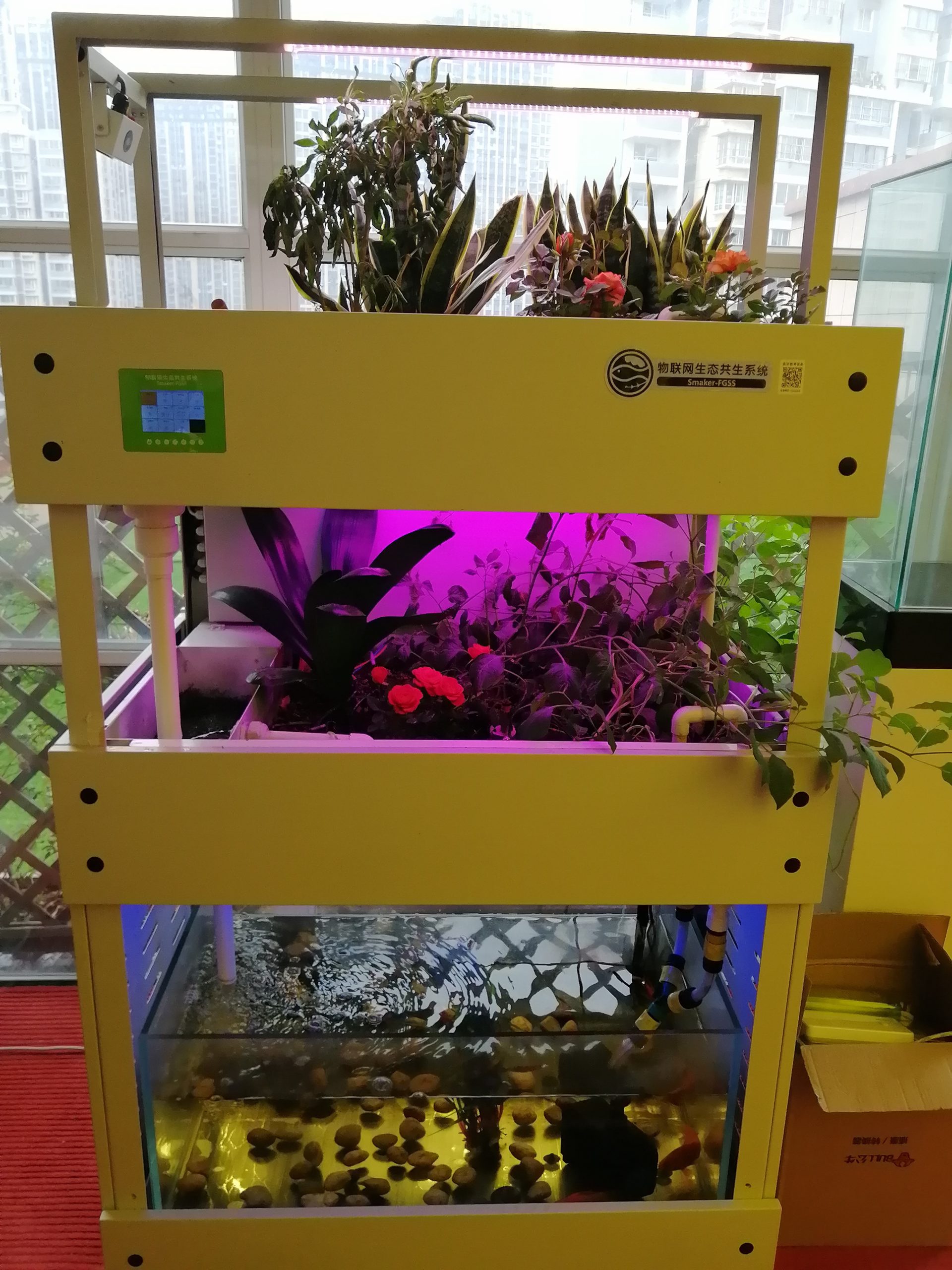 南京青秀城小学6 南京青秀城小学6