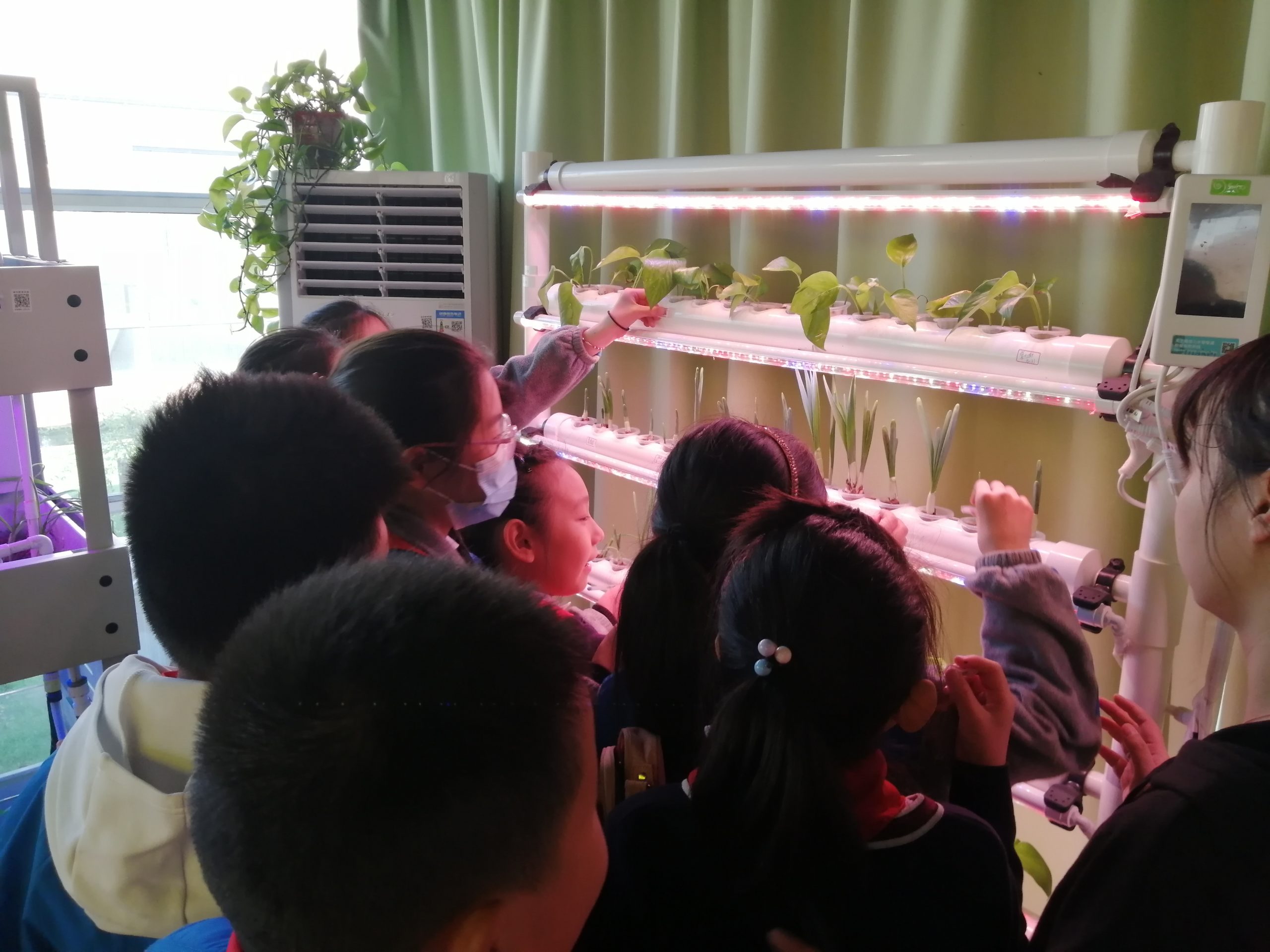 南京青秀城小学8 南京青秀城小学8