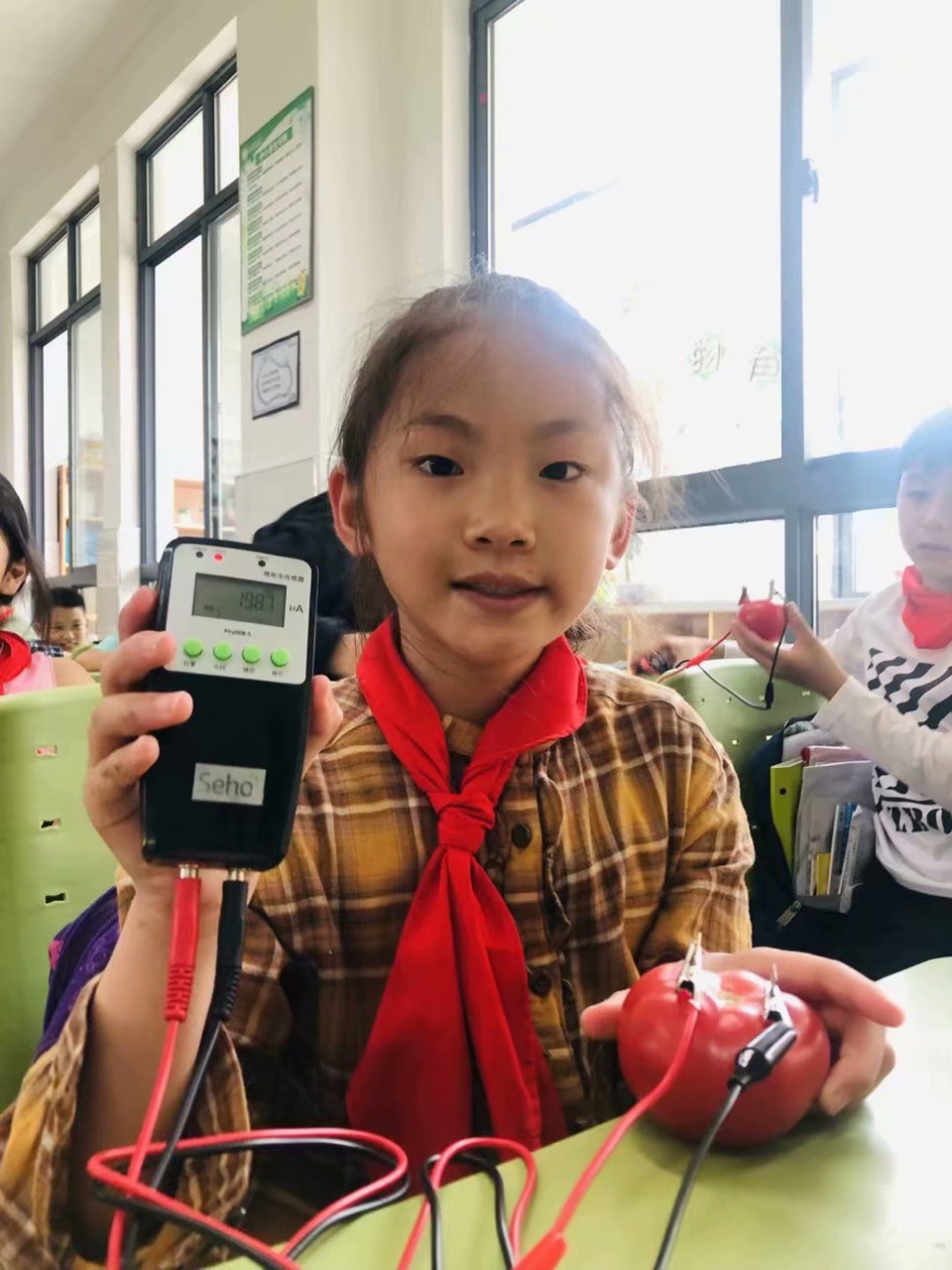 水果电池8 水果电池8