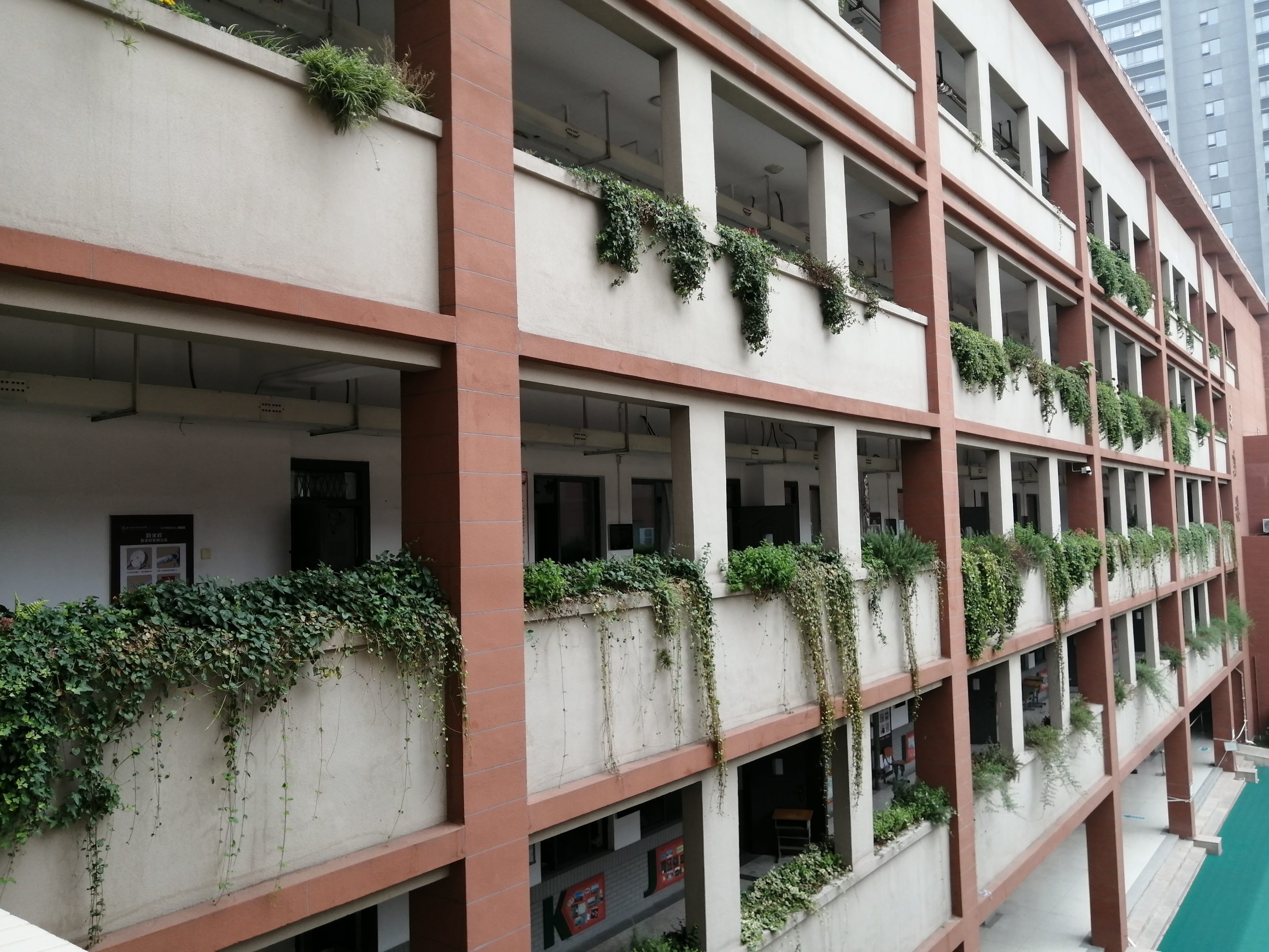 南京师范大学附属中学怡康街分校02 南京师范大学附属中学怡康街分校02