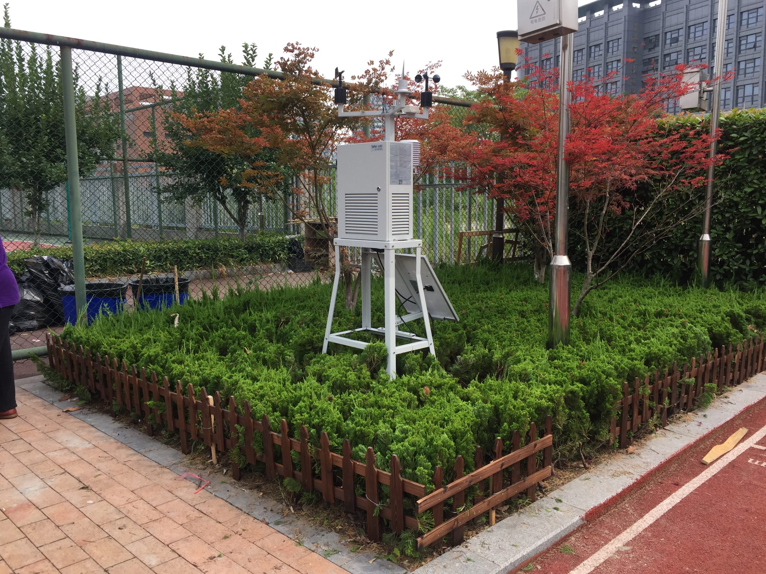 南师附中怡康街小学01 南师附中怡康街小学01