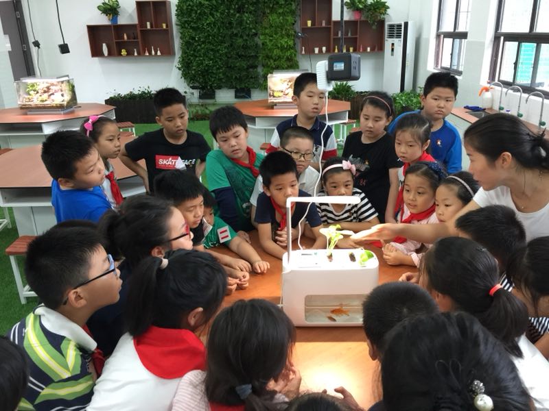 南师附中怡康街小学04 南师附中怡康街小学04