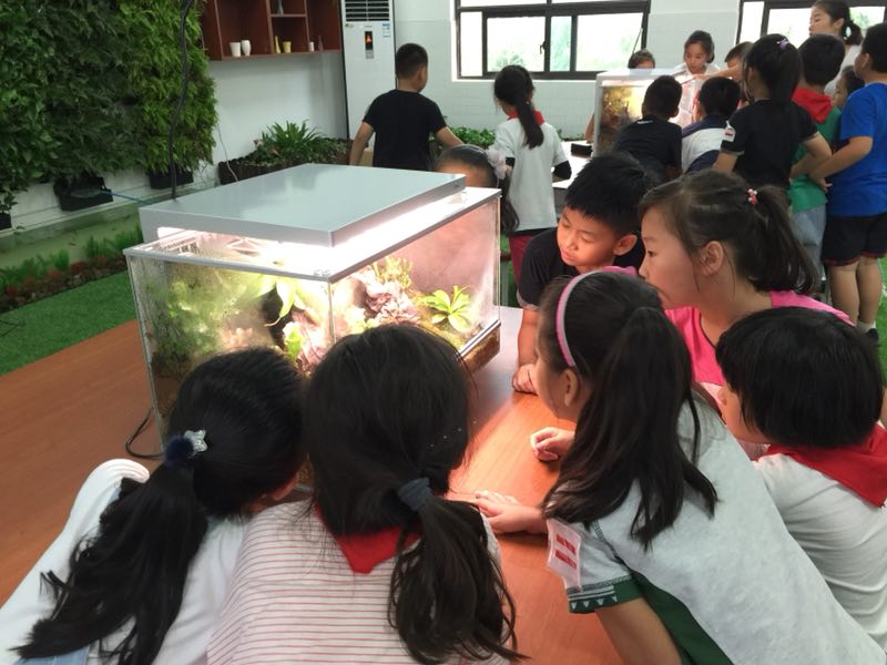 南师附中怡康街小学06 南师附中怡康街小学06
